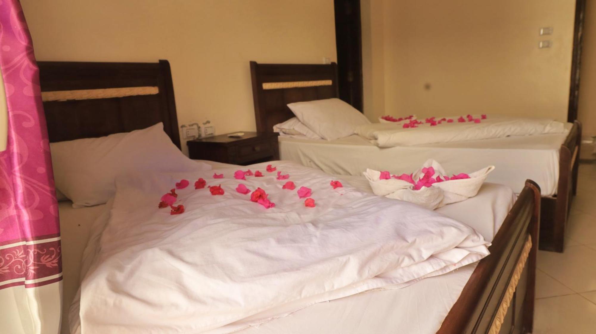 Dahab Bay Hotel Szoba fotó